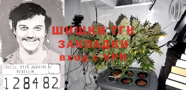 дмт Абаза