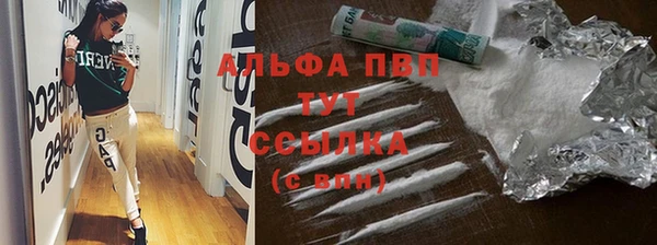 дмт Абаза