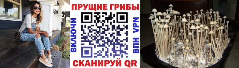 Псилоцибиновые грибы мухоморы  mega как войти  Усмань 